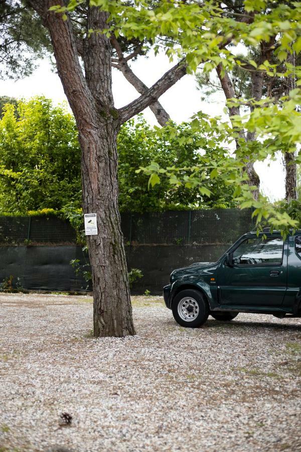 Camping Dolce Sole Marina di Massa Exterior foto